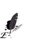 3.gif